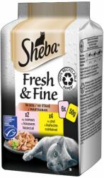 Sheba Fresh & Fine kapszula macskáknak, csirke és lazac 3 x (6 x 50 g)
