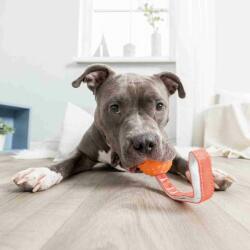 TRIXIE Játék kutyáknak - labda zsinóron, narancssárga, 7 x 29cm