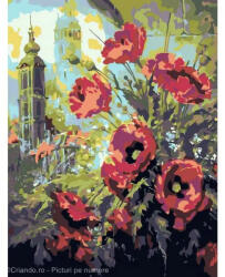 Criando Pictura pe numere Flori 40x50 cm, In Spatele Florilor, PDP2076 (PDP2076_5040) Carte de colorat