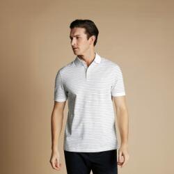Charles Tyrwhitt Pique Polo - White/Navy Stripe - XXL