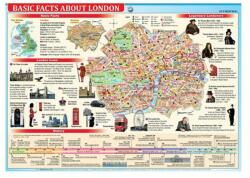 Stiefel Könyökalátét STIEFEL A/3 Basic facts London (12265K) - decool