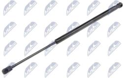 NTY Amortizor portbagaj NTY AE-FR-015 (AE-FR-015)
