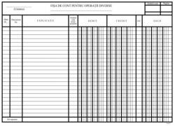Office Set 100 fise cont analitic operatiuni diverse fata/verso, carton duplex 230g (16914)