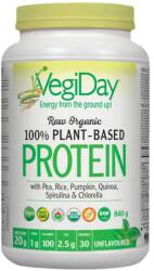 Natural Factors 100% Plant-Based Protein [840 грама] Натурален