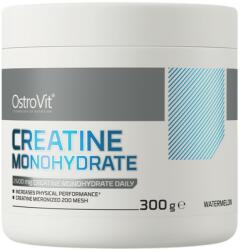 OstroVit Creatine Monohydrate Powder - Micronized [300 грама] Диня