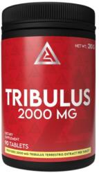 Lazar Angelov Nutrition Tribulus 2000 mg | 40% Saponins Tribulus Extract [90 Таблетки]