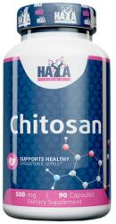 Haya Labs Chitosan 500 mg [90 капсули]
