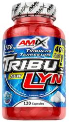 Amix Nutrition TribuLyn 40% / 750 mg [120 капсули]