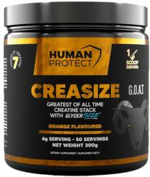 Human Protect Creasize | with 7 Forms of Creatine [300 грама] Портокал