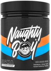 Naughty Boy Sigma | Testosterone Support [30 Пакета]