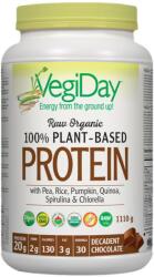 Natural Factors 100% Plant Based Protein - Chocolate [1110 грама] Шоколад