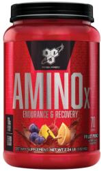 BSN Amino X [1000 грама] Плодов Пунш
