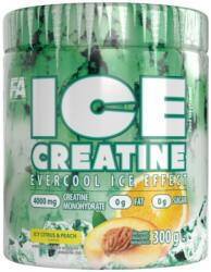 Fitness Authority Ice Creatine Monohydrate | Evercool Ice Effect [300 грама] Icy Citrus & Peach