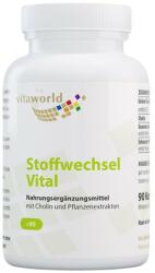 VitaWorld Vital Metabolism | with Green Tea, Choline & Guarana [90 капсули]