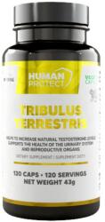 Human Protect Tribulus Terrestris 204 mg | with 98% Saponins [120 капсули]