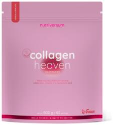 Nutriversum Collagen Heaven | added Zinc, Vitamin C and Hyaluronic Acid [600 грама] Малина