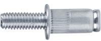 Fortum szegecscsavar készlet, M6, 25db/csomag (4770676) (4770676)