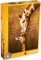EUROGRAPHICS Puzzle Eurographics din 1000 de piese - Sarutul girafei mama (60000301)