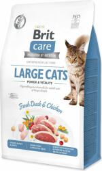 Brit Hrănire Brit Care fără cereale pentru pisici mari Putere și vitalitate 0, 4 kg (293-171311)
