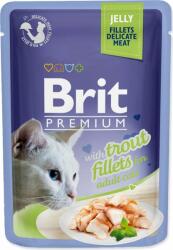 Brit Pungă de hering delicat Brit Premium Cat, fileuri în jeleu 85g (293-111243)