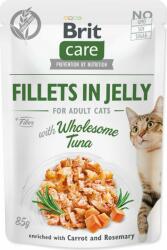 Brit Pouch Brit Care Cat ton, file in jeleu 85g (293-100533) - raijucarii