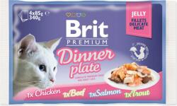 Brit Pouch Brit Premium Cat Delicate Farfurie, fileuri în jeleu Multi 340g (4x85g) (293-111244)