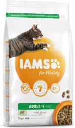 Iams Cat Adult Miel 2kg (1753-151748)