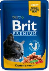 Brit Pouch Brit Premium Cat somon si pastrav 100g (293-100271)