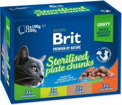 Brit Pungă de Brit Premium Carne de pisică Sterilisod amestec în sos Multi 12x100g (293-111834)