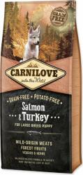 CARNILOVE Takarmány Carnilove Puppy Large Breed Salmon & Turkey 12kg (294-150816)
