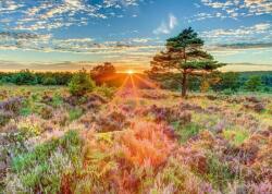 Schmidt Spiele 59768 - Sunset on the heath - 1000 db-os puzzle (59768)