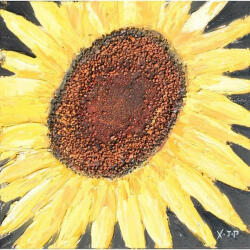 naru. ro Tablou pictat manual Floarea Soarelui A, 40x40cm (187-CYGY-0292A)