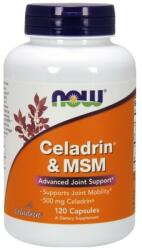 NOW Celadrin & MSM 500 mg [120 капсули]