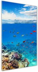  Wallmuralia. hu Akril üveg kép Korallzátony 50x125 cm 4 fogantyú