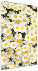  Wallmuralia. hu Egyedi üvegkép Százszorszép virágok 50x125 cm 4 fogantyú