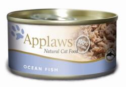 Applaws Cat Óceáni halak húslevesben 24x156 g