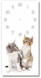  Wallmuralia. hu Négyszögletes fali üvegóra Két kis macska 30x60 cm fehér