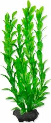 TETRA Dekoráció Tetra Plant Hygrophila M 23cm (A1-270381)
