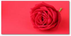  Wallmuralia. hu Akrilkép Vörös rózsa 140x70 cm 4 fogantyú