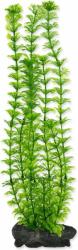 TETRA Dekoráció Tetra Plant Ambulia L 30cm (A1-270473)