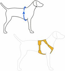Ruffwear Hám kutyák számára Ruffwear Front Range Harness, Red Sumac L/XL