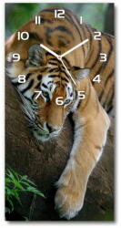 Wallmuralia. hu Téglalap alakú üvegóra Tiger a fán 30x60 cm fehér