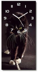  Wallmuralia. hu Négyszögletes fali üvegóra Fekete macska 30x60 cm fehér