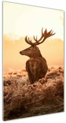  Wallmuralia. hu Akrilkép Deer napkelte 70x140 cm 4 fogantyú