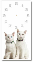 Wallmuralia. hu Négyszögletes fali üvegóra Két fehér macska 30x60 cm fehér