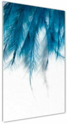 Wallmuralia. hu Akril üveg kép Kék tollak 50x125 cm 4 fogantyú