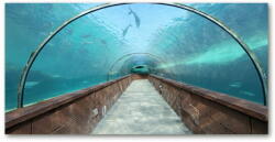 Wallmuralia. hu Akrilüveg fotó Az alagút akvárium 120x60 cm 4 fogantyú