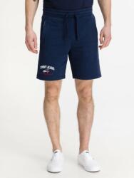 Tommy Jeans Pantaloni scurti sport Timeless cu croiala Regular Fit, bleumarin (DM0DM10741-BLUE-2XL)