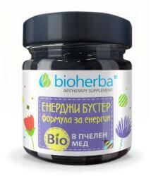 Bioherba Organic Honey | Energy Booster Formula [280 грама]