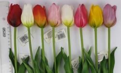 Minikek Gumi tulipán Extra Real Touch szálas ár